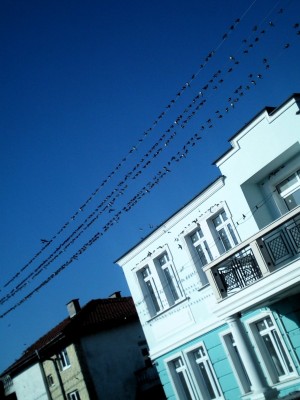 IMG_20200907_083311.jpg