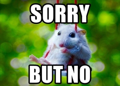 image.jpeg