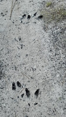 20200908_145227.jpg