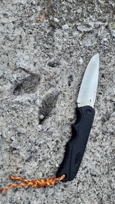 20200908_144910.jpg