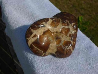 bottom side