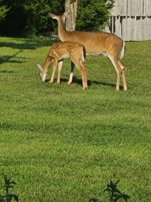 20200907_172414.jpg