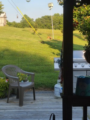 20200907_172351.jpg