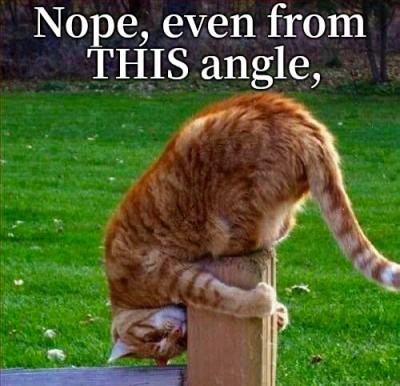 image.jpeg