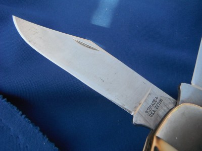 DSCF7365.JPG