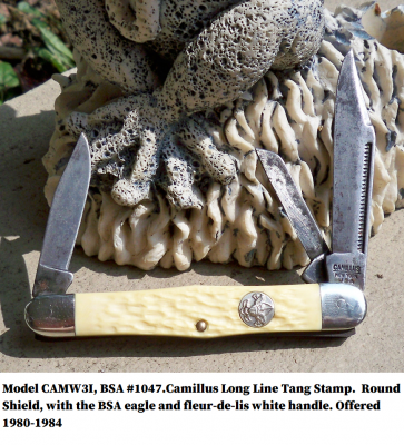 Cam_1047_BSA_Wa.png