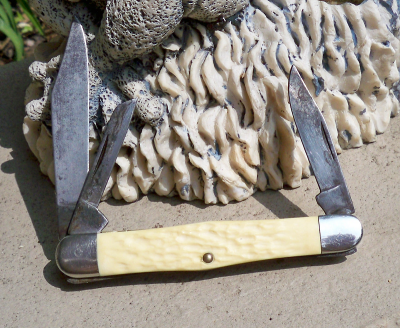 CAM_1047_BSA_Wb.png