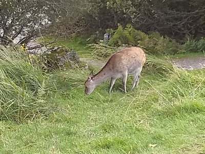IMG_20190912_155102116.jpg