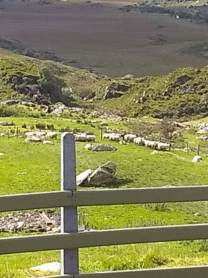 IMG_20190912_143721881.jpg
