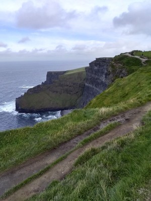 IMG_20190914_094553591_HDR.jpg