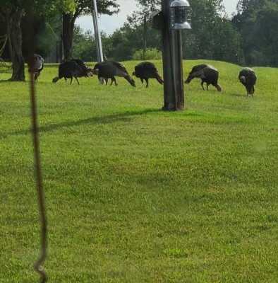 20200917_191343.jpg