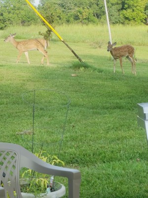 20200916_172712.jpg