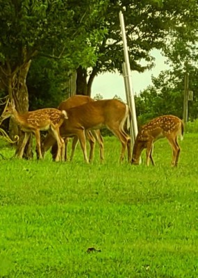 20200917_195111.jpg