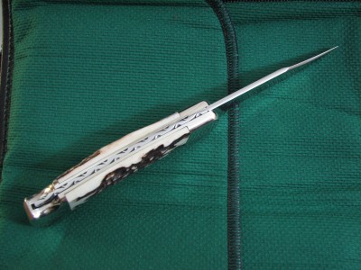 buck 010.JPG