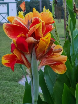 20200917_185514.jpg