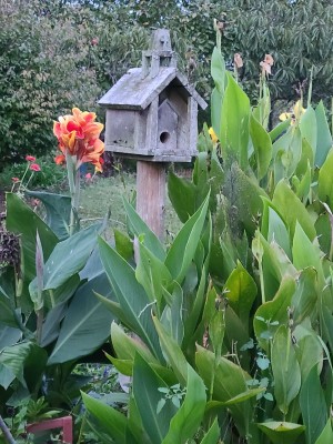 20200917_185439.jpg