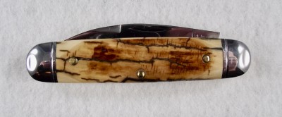 Mammoth Ivory