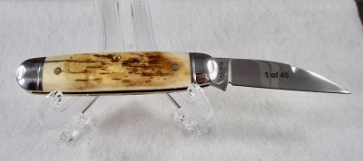 Mammoth Ivory