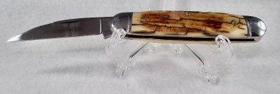 Mammoth Ivory