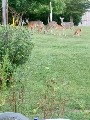 20200918_191322.jpg
