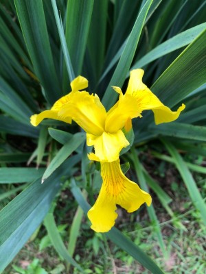 IMG_1552.JPG