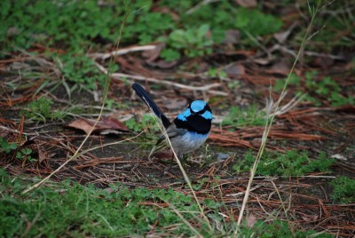 DSC_2642.JPG
