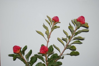 DSC_0002.JPG