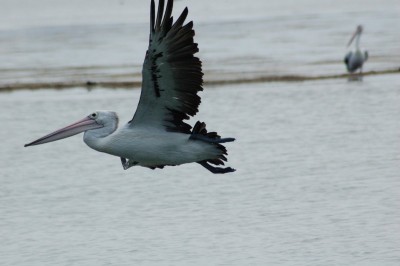 DSC_0038.JPG