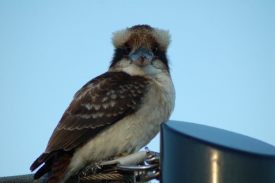 DSC_0307.JPG