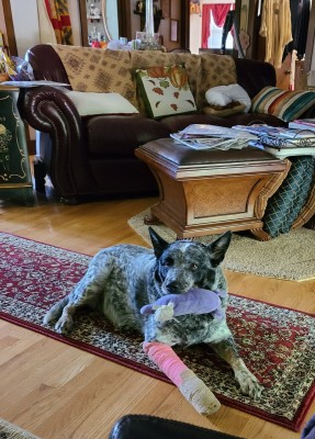 20200921_093308.jpg