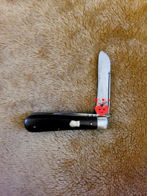 20200922_155614.jpg
