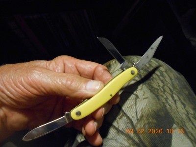 Would be a great Sunday knife!