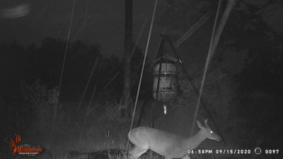 WGI_0097.JPG (140.58 KiB) Viewed 1694 times During the hurricane
