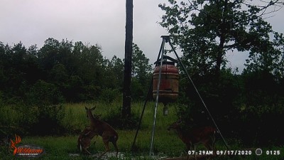 WGI_0125.JPG (231.39 KiB) Viewed 1694 times An apparent disagreement in the morning