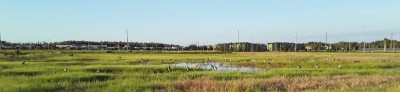 20200925_184943_001 - Edited.jpg