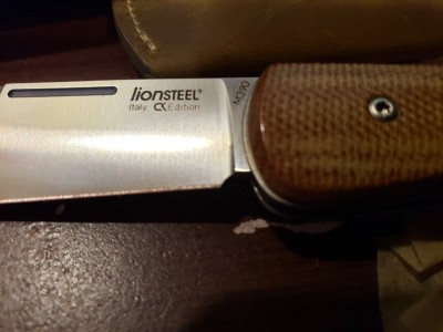Bolus 6.jpg