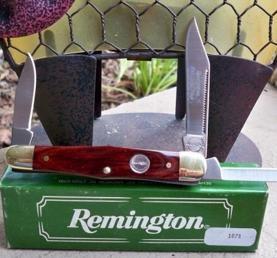 REM R14 2001 RSb.jpg