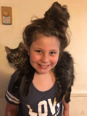 Cat Lady.jpg