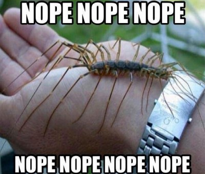 image.jpeg