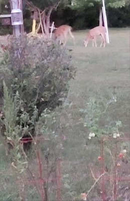 20200927_222204.jpg