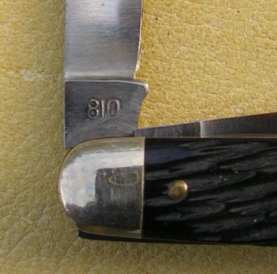 IMGP9663.JPG