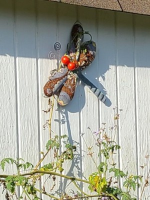 20200929_191003.jpg