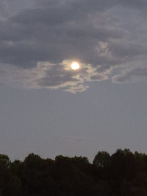 20200929_185548.jpg