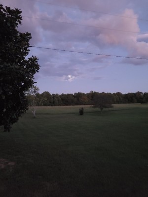 20200929_185514.jpg