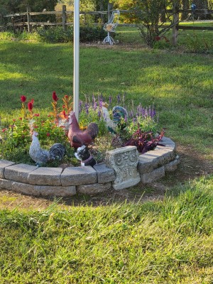20200929_164014.jpg
