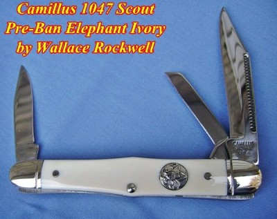 Camillus_1047_Scout_Elephant_Ivory - Labeled.JPG