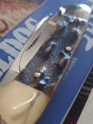 20201001_124129.jpg