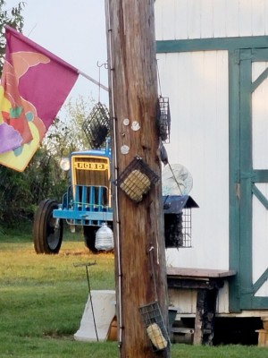 20201001_182212.jpg