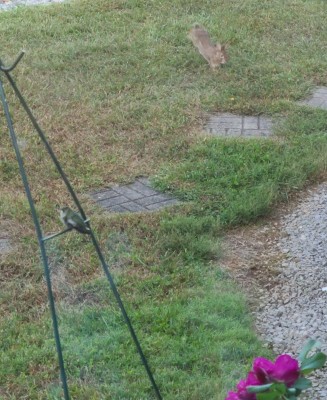20201001_182058.jpg