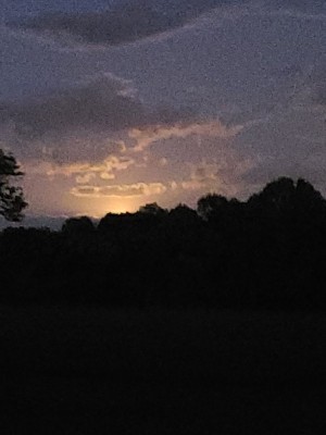 20201001_190925.jpg